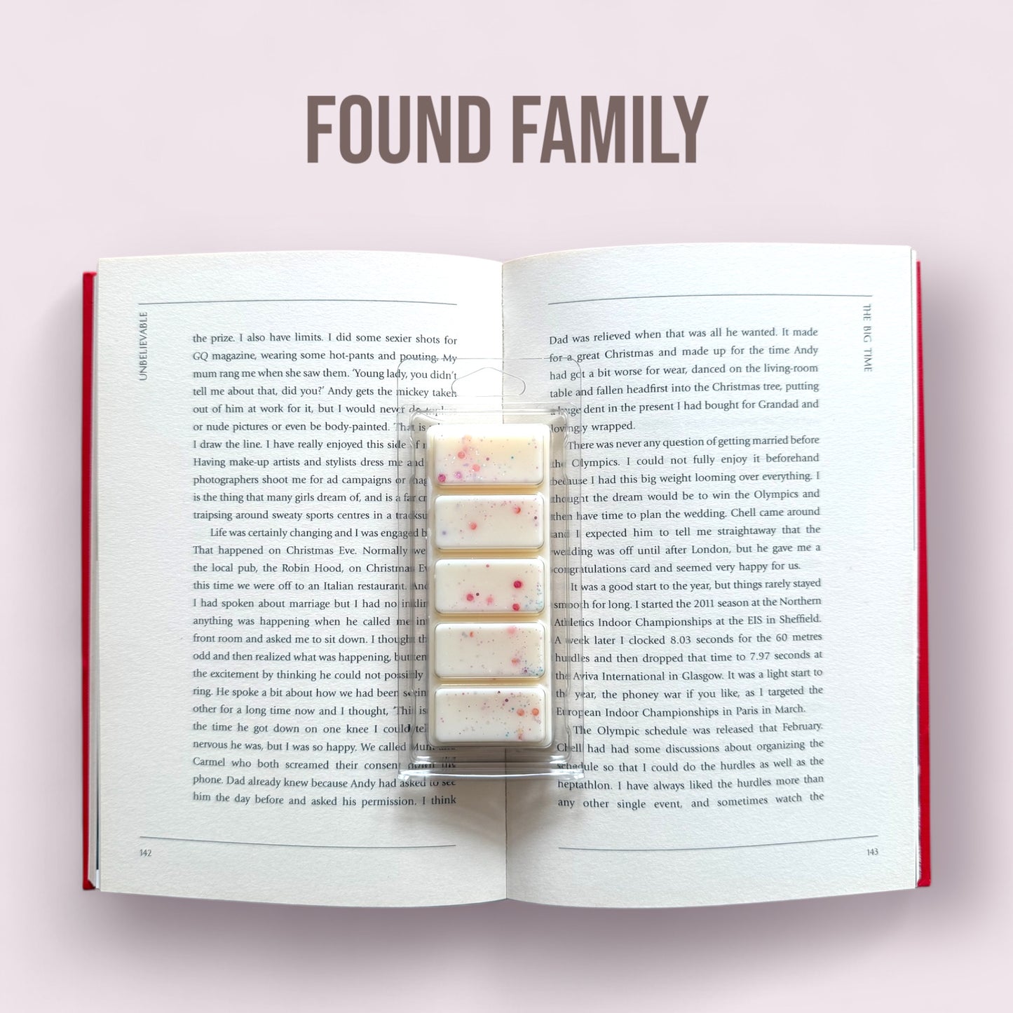 Found Family - Wax Melt Snap Bar