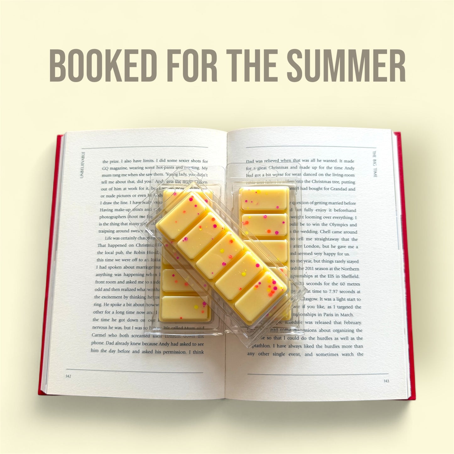 Booked For The Summer Wax Melts