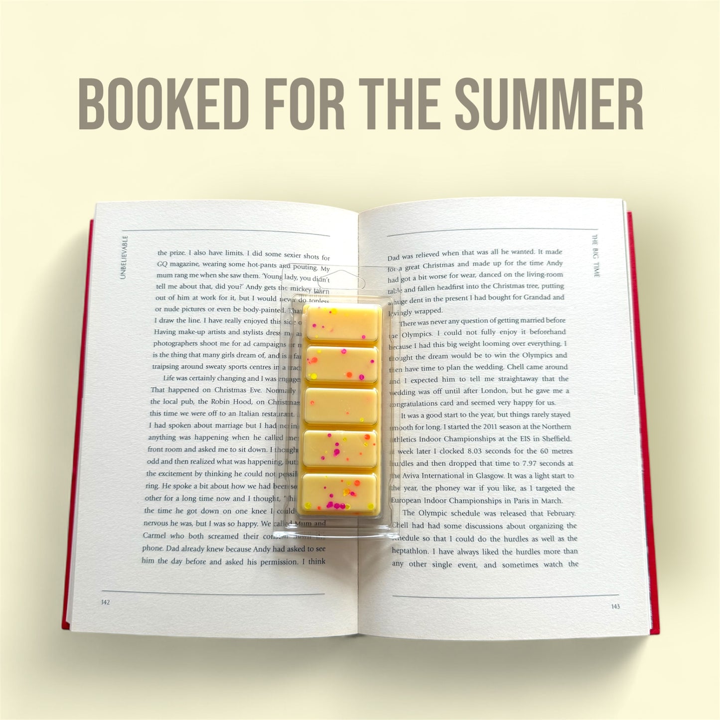 Booked For The Summer Wax Melts