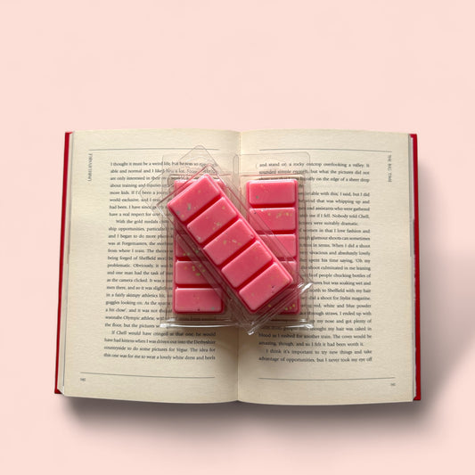 Book Babe - Wax Melt Snap Bar